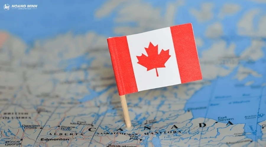 to-khai-hai-quan-nhap-canh-canada (2)