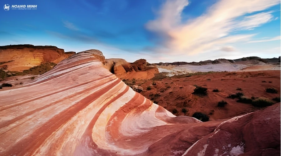 Sa mạc Mojave là gì? Nằm ở đâu | 10 sự thật về Mojave