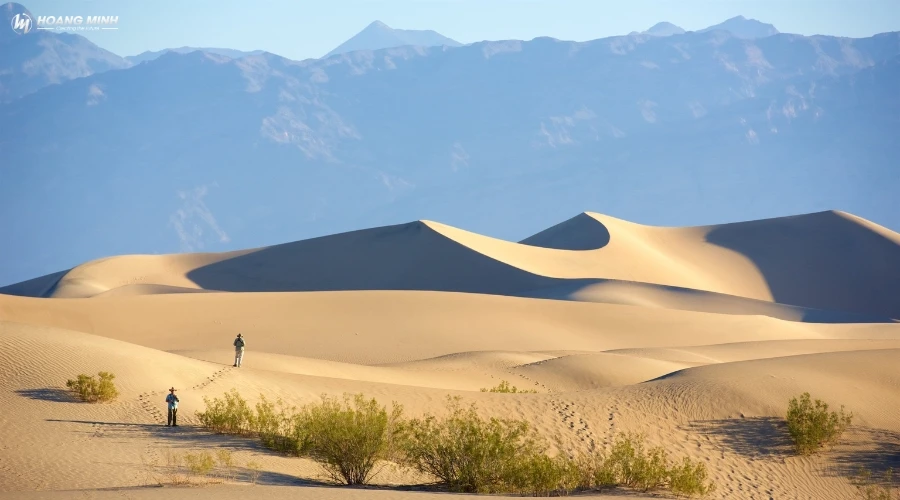 sa-mac-mojave-la-gi (3)