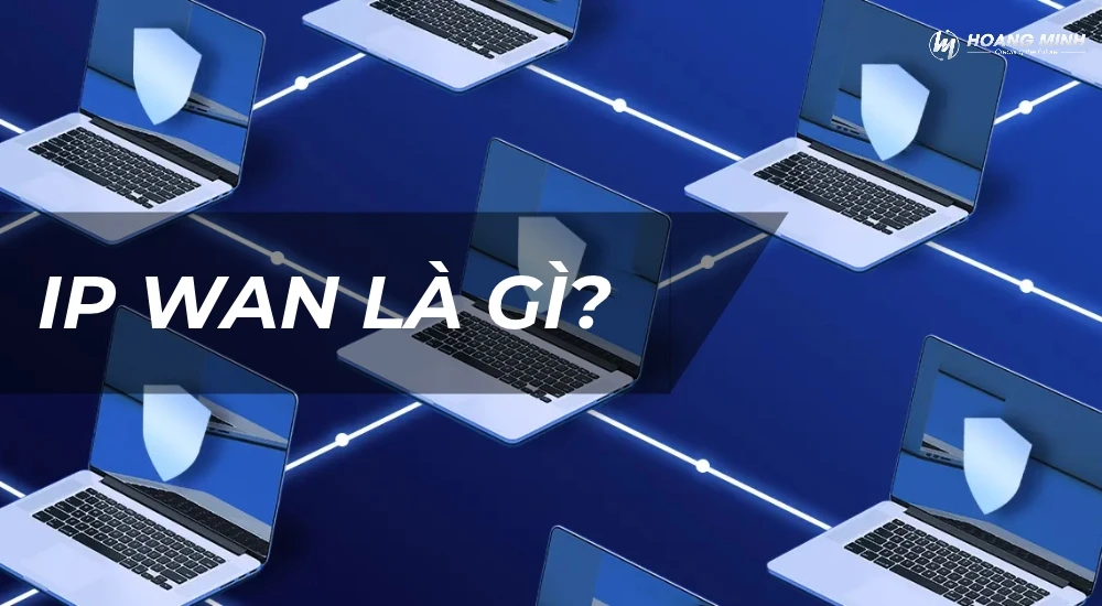 IP WAN là gì? Cách kiểm tra, phân biệt IP WAN và IP LAN chi tiết