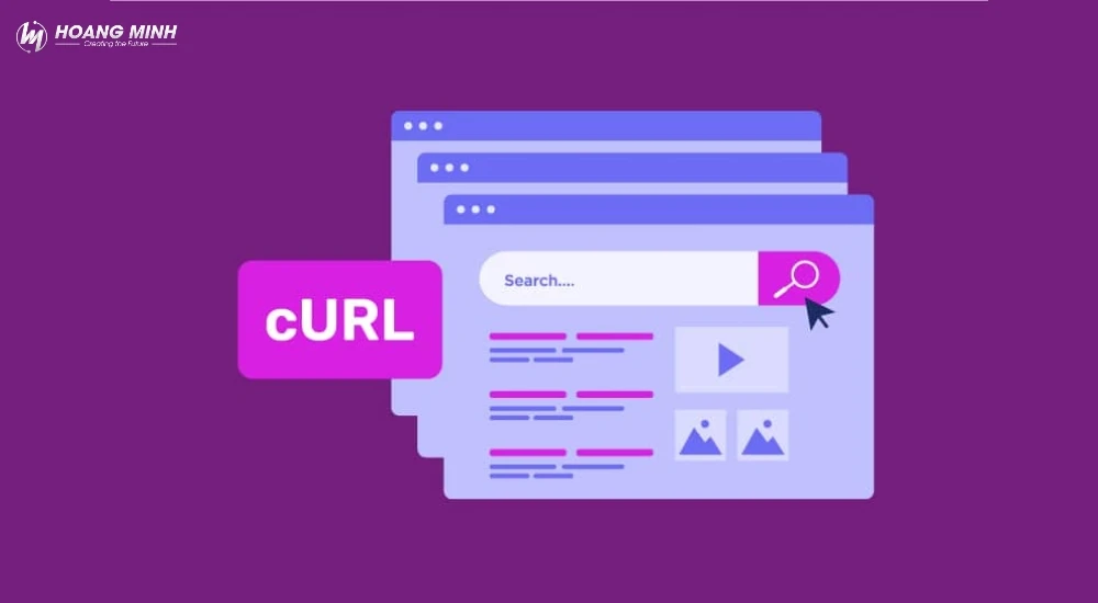 loi-curl-command-not-found-la-gi (2)