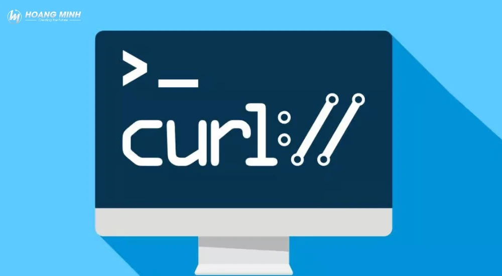Lỗi “curl command not found” là gì? Nguyên nhân & cách khắc phục chi tiết