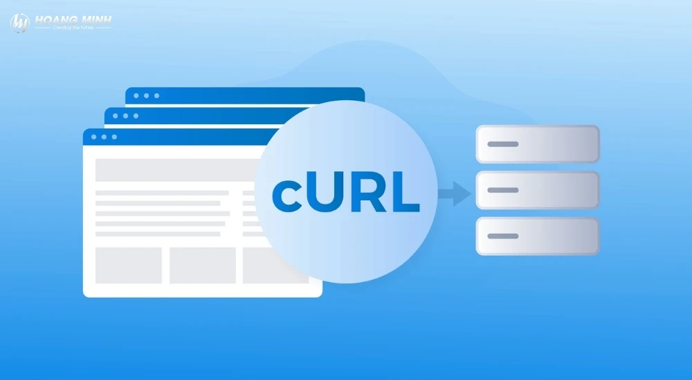 Lỗi “curl command not found” là gì? Nguyên nhân & cách khắc phục chi tiết