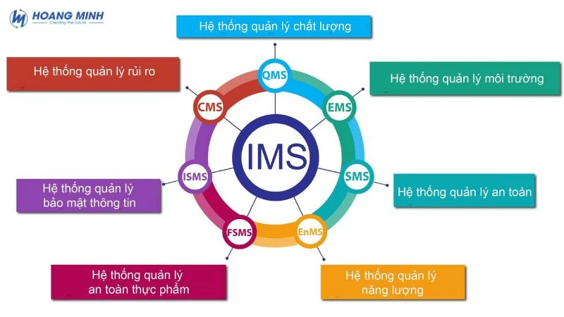IMS là gì?