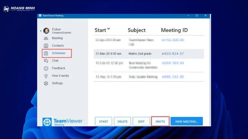 TeamViewer là gì?