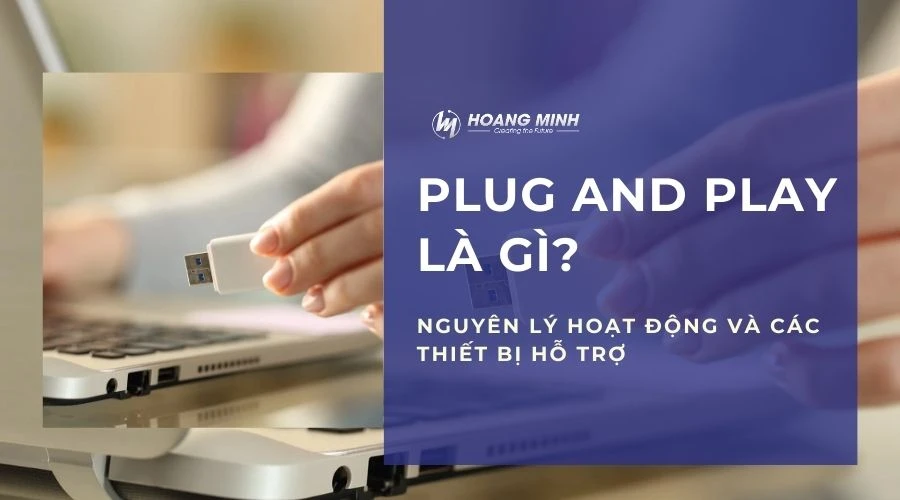 plug-and-play-la-gi (4)