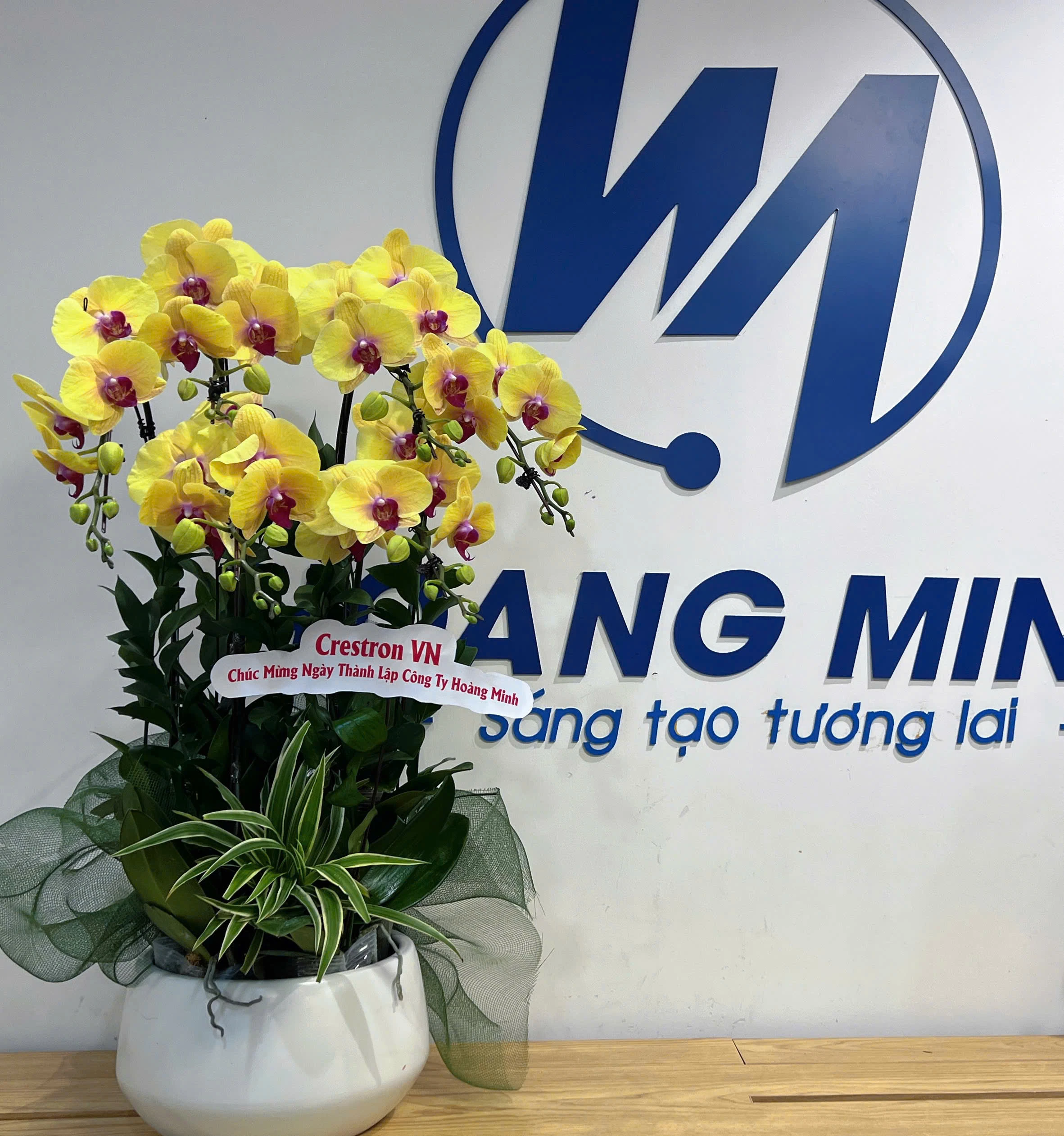 Chúc mừng Hoàng Minh tròn 12 tuổi – Vững bước tương lai, Giữ trọn niềm tin!