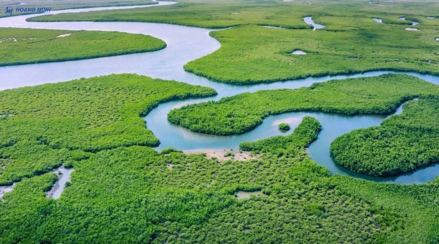 Top 10 con sông dài nhất thế giới | Tên gọi và đặc điểm