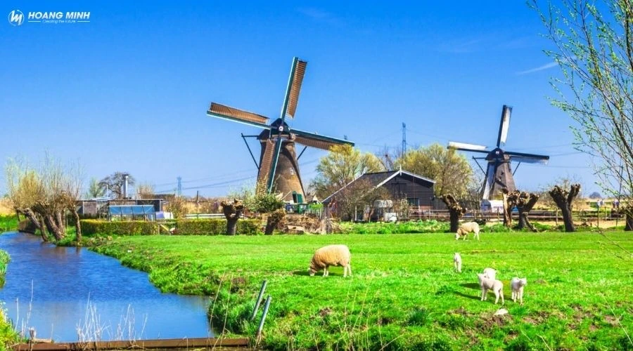 coi-xay-gio-la-phat-minh-cua-nuoc-nao (4)