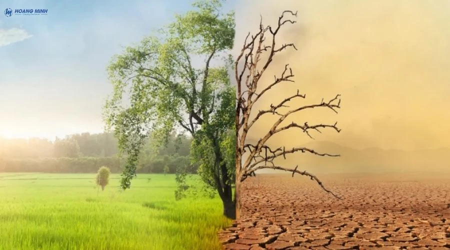 khung-hoang-khi-hau-la-gi (3)