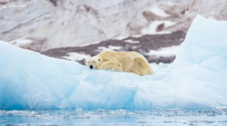 khung-hoang-khi-hau-la-gi (5)