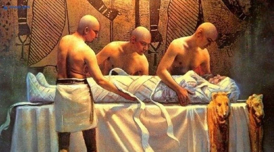 nguoi-ai-cap-uop-xac-de-lam-gi (2)