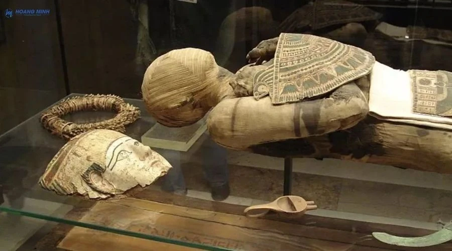 nguoi-ai-cap-uop-xac-de-lam-gi (5)