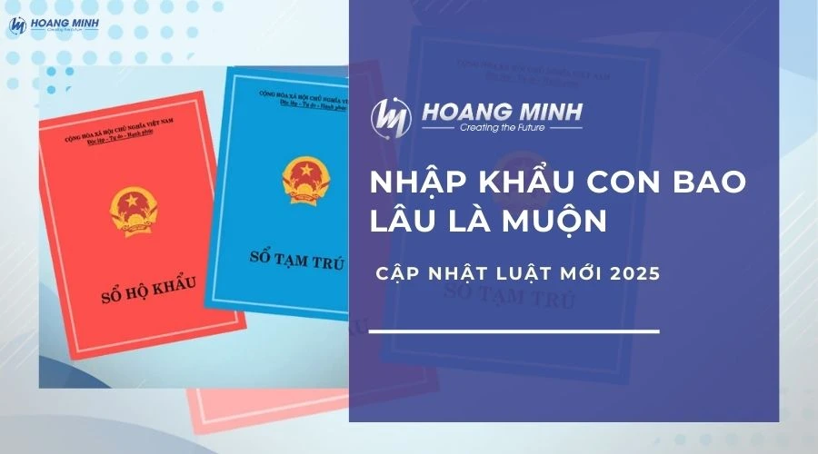 Nhập khẩu con bao lâu là muộn – Cập nhật luật mới 2025