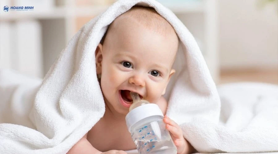 nhap-khau-con-bao-lau-la-muon