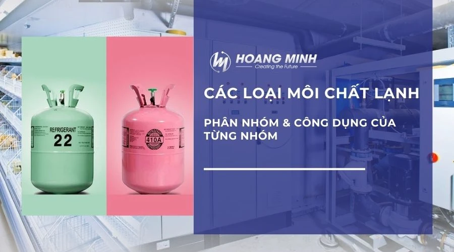 cac-loai-moi-chat-lanh (7)