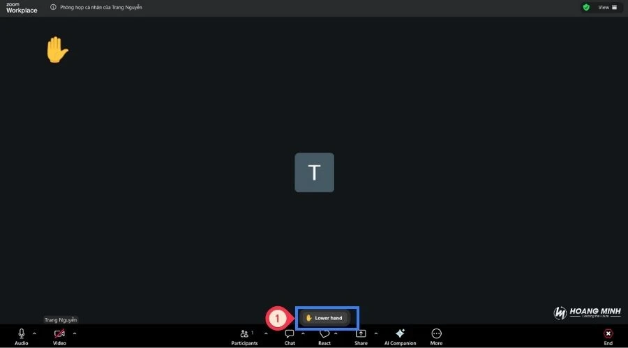 cach-gio-tay-trong-zoom (2)