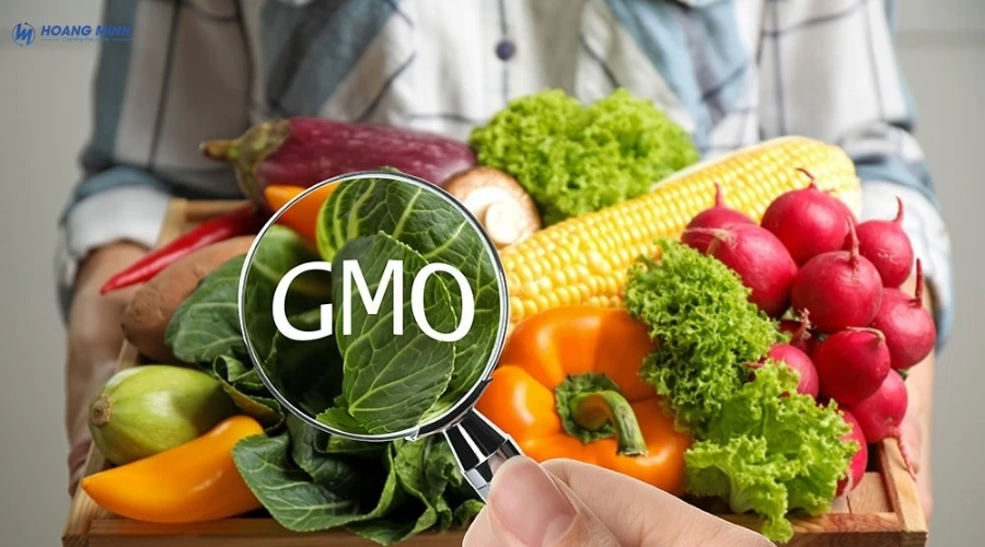 gmo-la-gi (2)