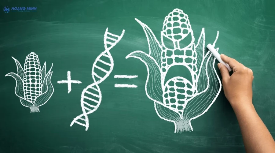 gmo-la-gi (3)