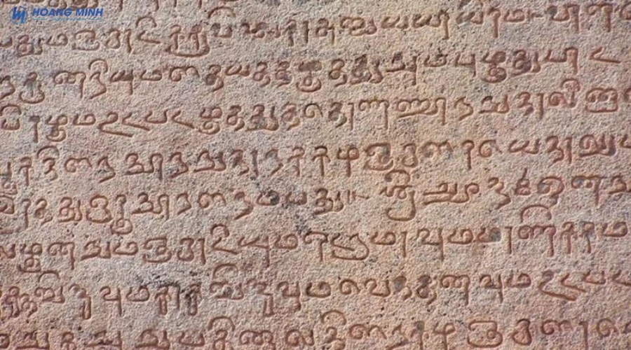 ngon-ngu-lau-doi-nhat-the-gioi (6)