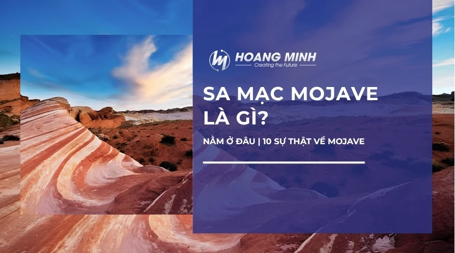 Sa mạc Mojave là gì? Nằm ở đâu | 10 sự thật về Mojave