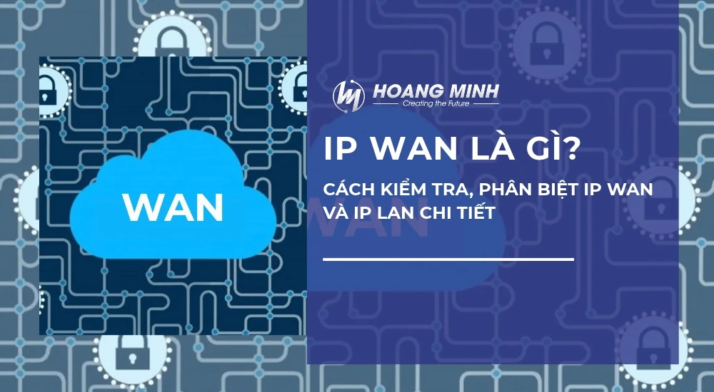 IP WAN là gì? Cách kiểm tra, phân biệt IP WAN và IP LAN chi tiết